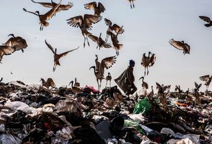 Waste Picker