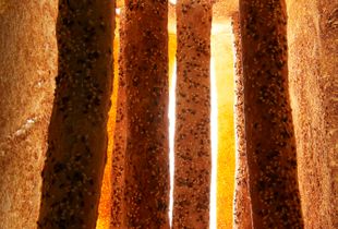 Hall of Columns
