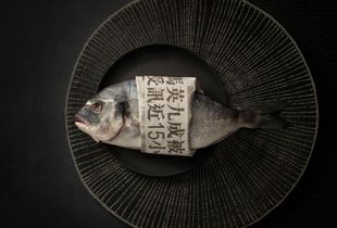 Food Photography