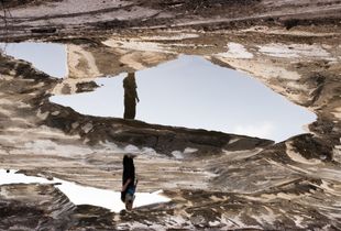 Altered landscape I