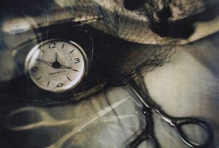 Snip © Janet Matthews