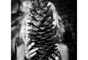 cosmic cone, 2016