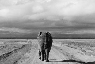 Back to Kenya