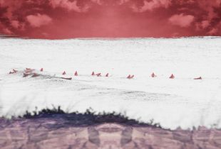 Mind's Eye - 2