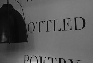 Wine is a bottled Poetry