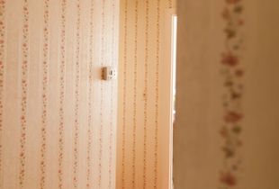 Light