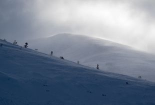 Cairngorm