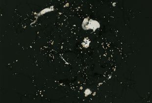 Supercluster Arion, Cloud 2s, 2012; unique silver gelatin print mounted to anodized aluminum; 11 x 14 in.© DM Witman