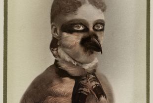 Aviary