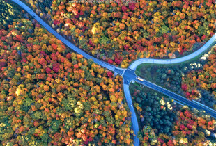 Trident Road