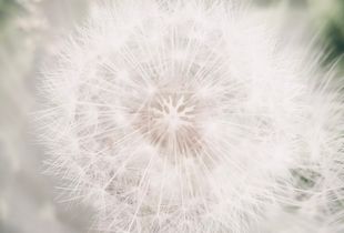 An abandoned star