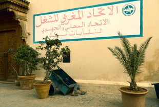 A 5star Riad