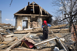 No Shelter from War