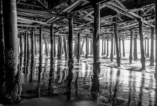 Under the  Pier