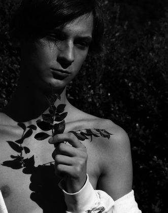 It no longer makes sense to love -