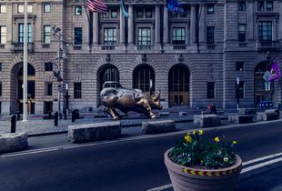Charging Bull in Tranquility
