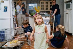 Third Birthday Party, 2003