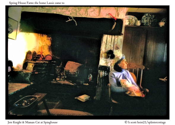 Jere Knight & Maman Cat sitting at Spring House Farm.