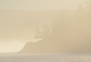 Sentinel, San Juan Islands