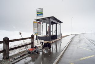 Bus stop in the middle of nowhere