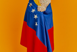 Mi Bandera