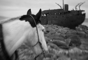 Captain Morgan and the Wreck© Anne Berry