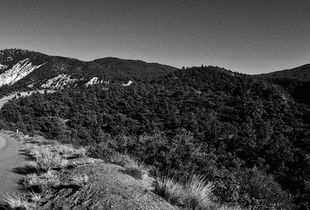 Leading Into Pine Mountain