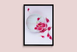 Untitled (Anima)