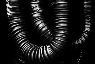 Dichotomy of Existence 01