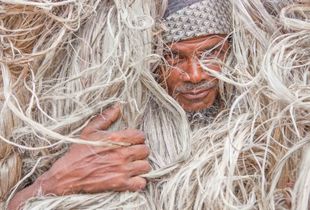 Jute Laborer