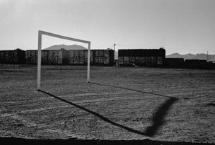 The field