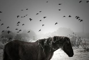 Riders On The Storm