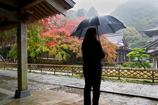 MISTY MEDITATIONS