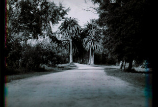 Palácio Real de Azambuja