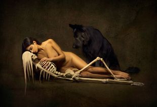 The black dog