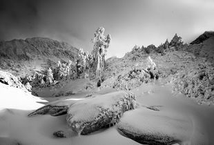 High Mountain Scenes-3