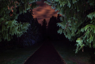 The Entrance