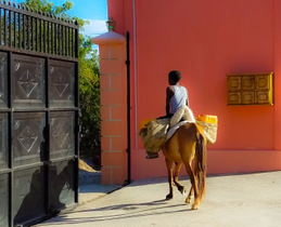 Bringing water