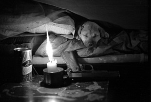 bunker Pup Vietnam 1970 ©Laszlo KONDOR