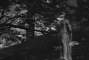 Reflection