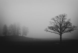 The Loner I
