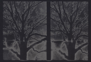 Winterbranch #1