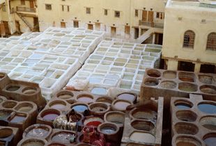The tannery of Fès, Morocco