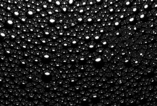 Metaphase.VI