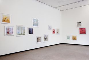 Installation view of the series horror vacui
