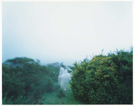 Fairy Paths and Pixy Moors―the fairies live here and there 1