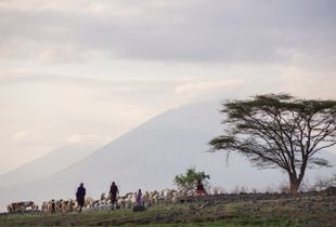 Beneath the Mountain of God