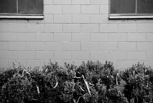 Untitled 1