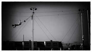Noir Acrobatics