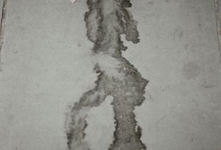 Human with a camera
